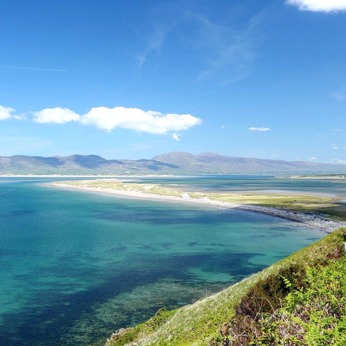 dingle bay
