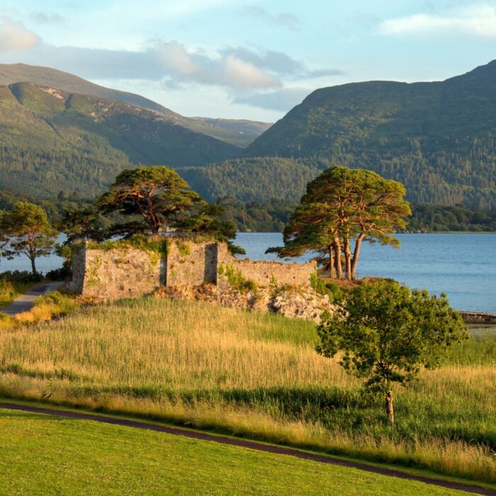 McCarthy's Castle - © htrnr