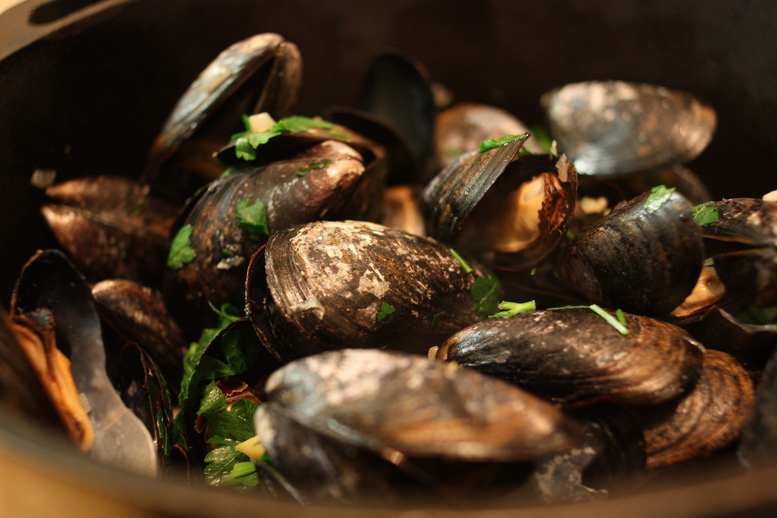 Muscheln mit Guinness - naotakem - cc
