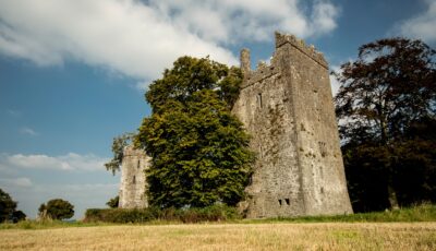 Das Burnchurch Castle - Simonak - cc