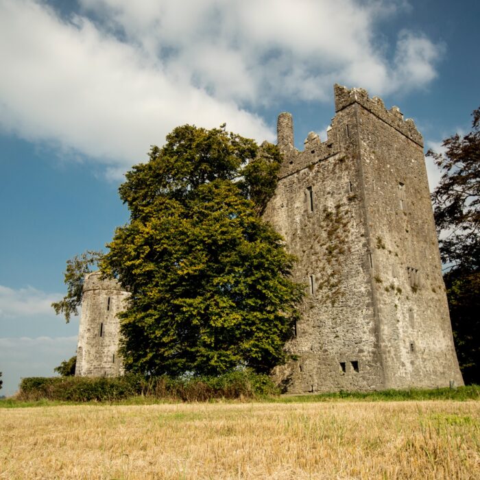 Das Burnchurch Castle - Simonak - cc