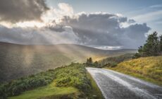 Die Old Military Road - © Dawid