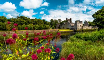 Desmond Castle - © Lyd Photography