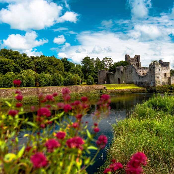 Desmond Castle - © Lyd Photography