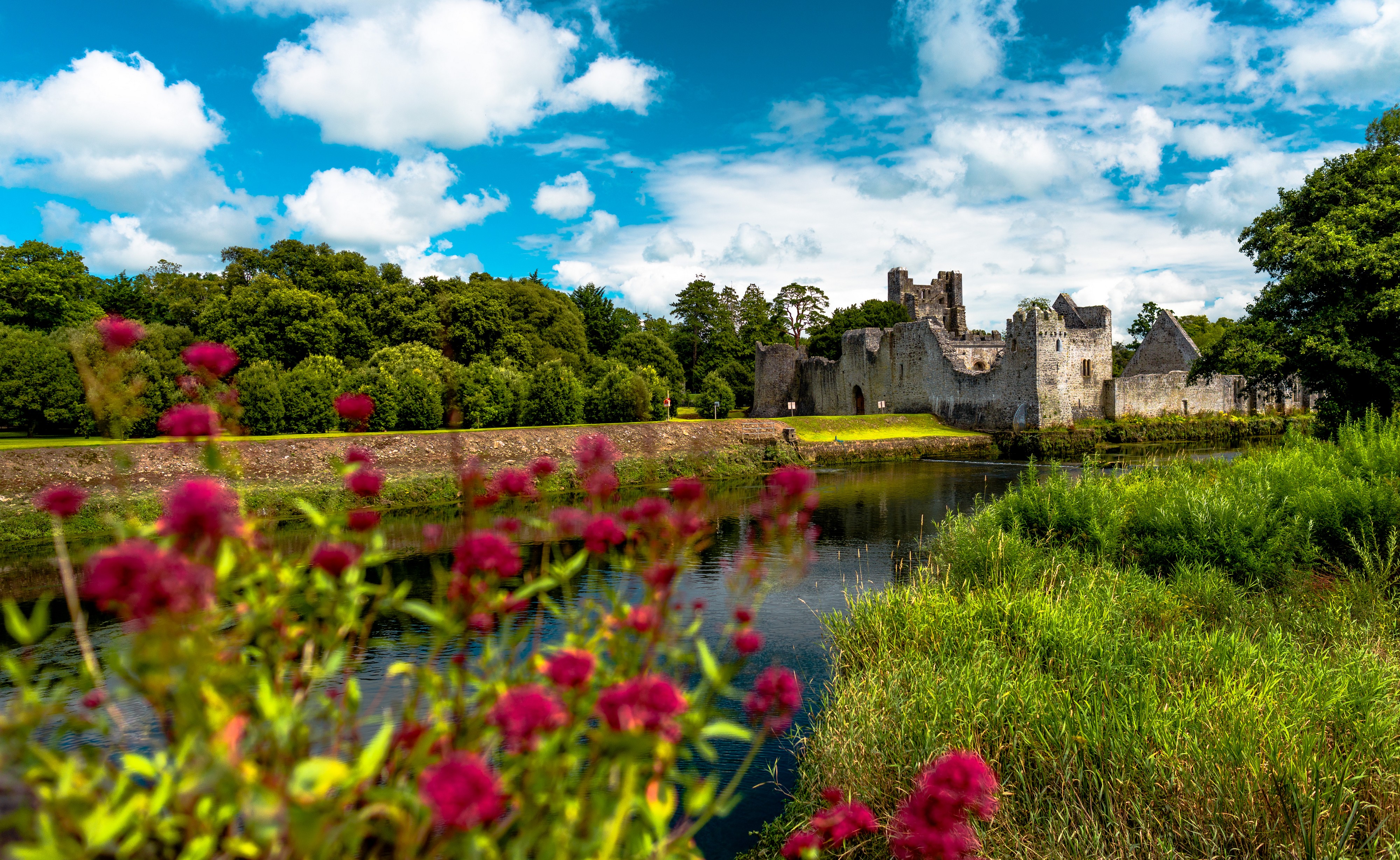 Desmond Castle - © Lyd Photography
