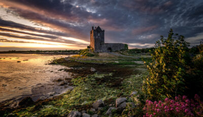 Das Dunguaire Castle in Kinvara - Bernd Thaller - cc