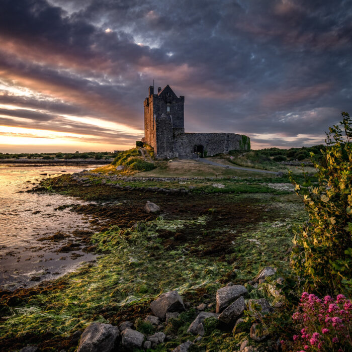 Das Dunguaire Castle in Kinvara - Bernd Thaller - cc