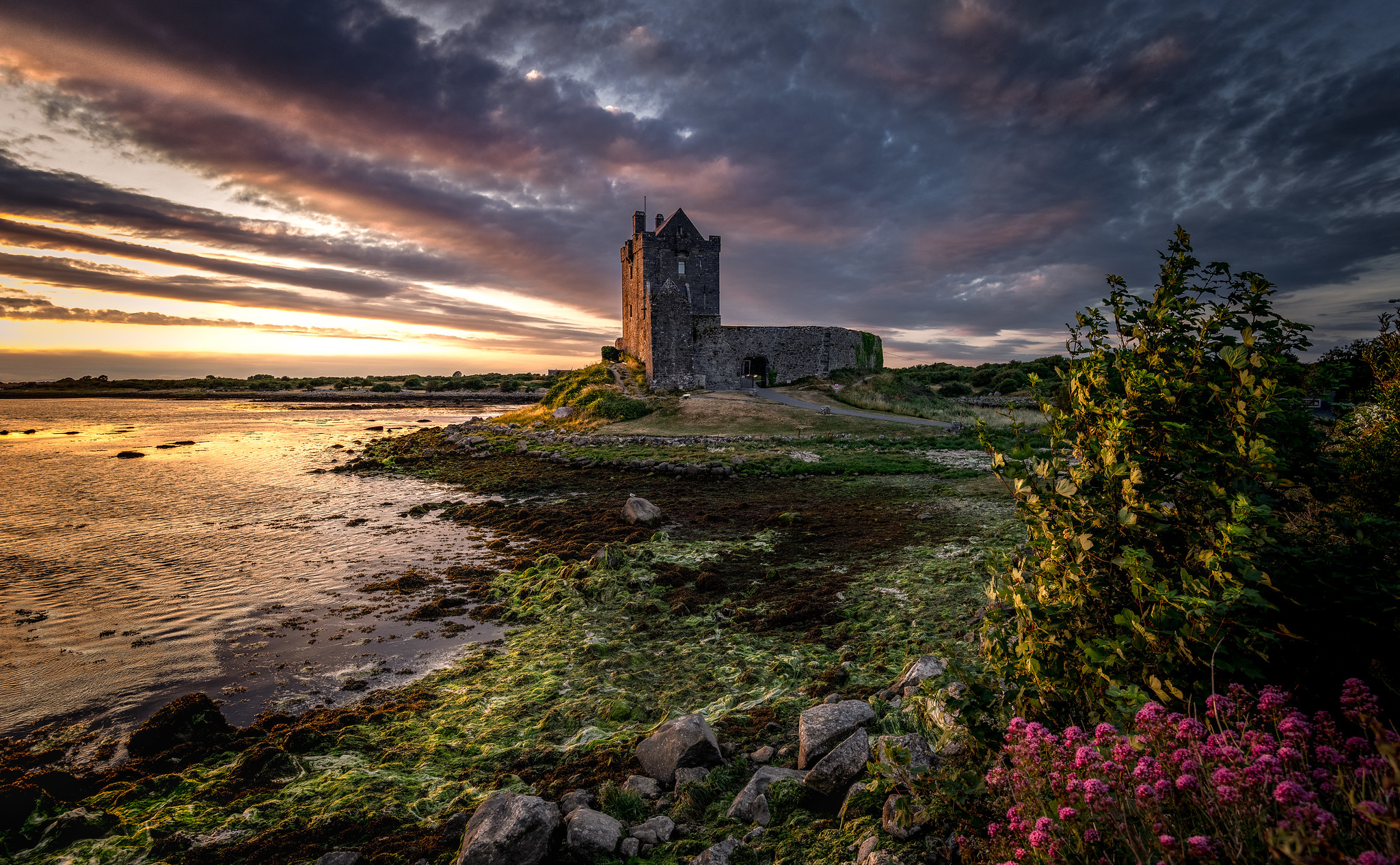 Das Dunguaire Castle in Kinvara - Bernd Thaller - cc