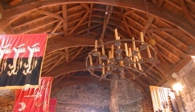 Decke im Knappogue Castle - Wally Hartshorn - cc