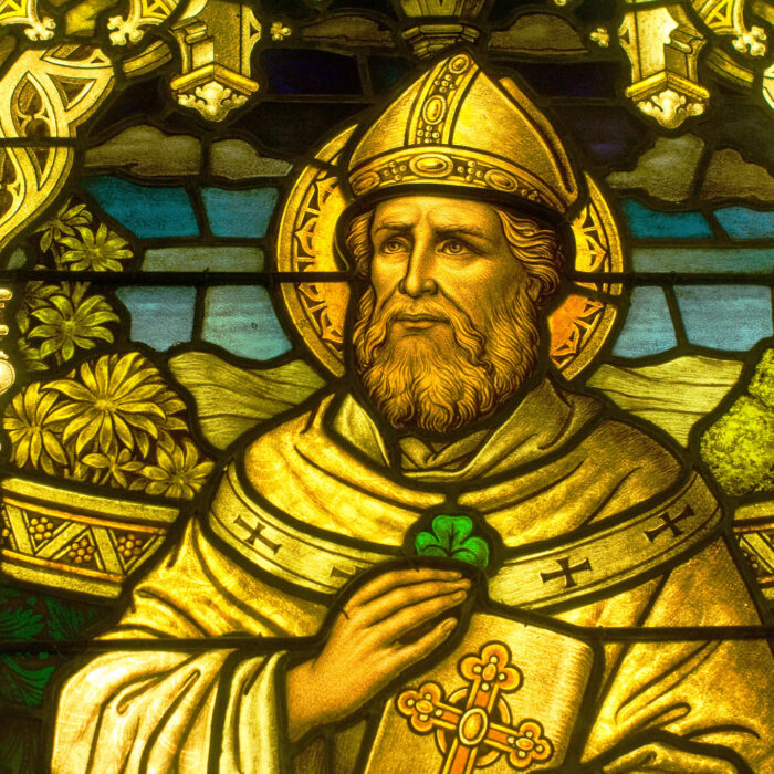 St. Patrick's Day - Thad Zajdowicz - cc