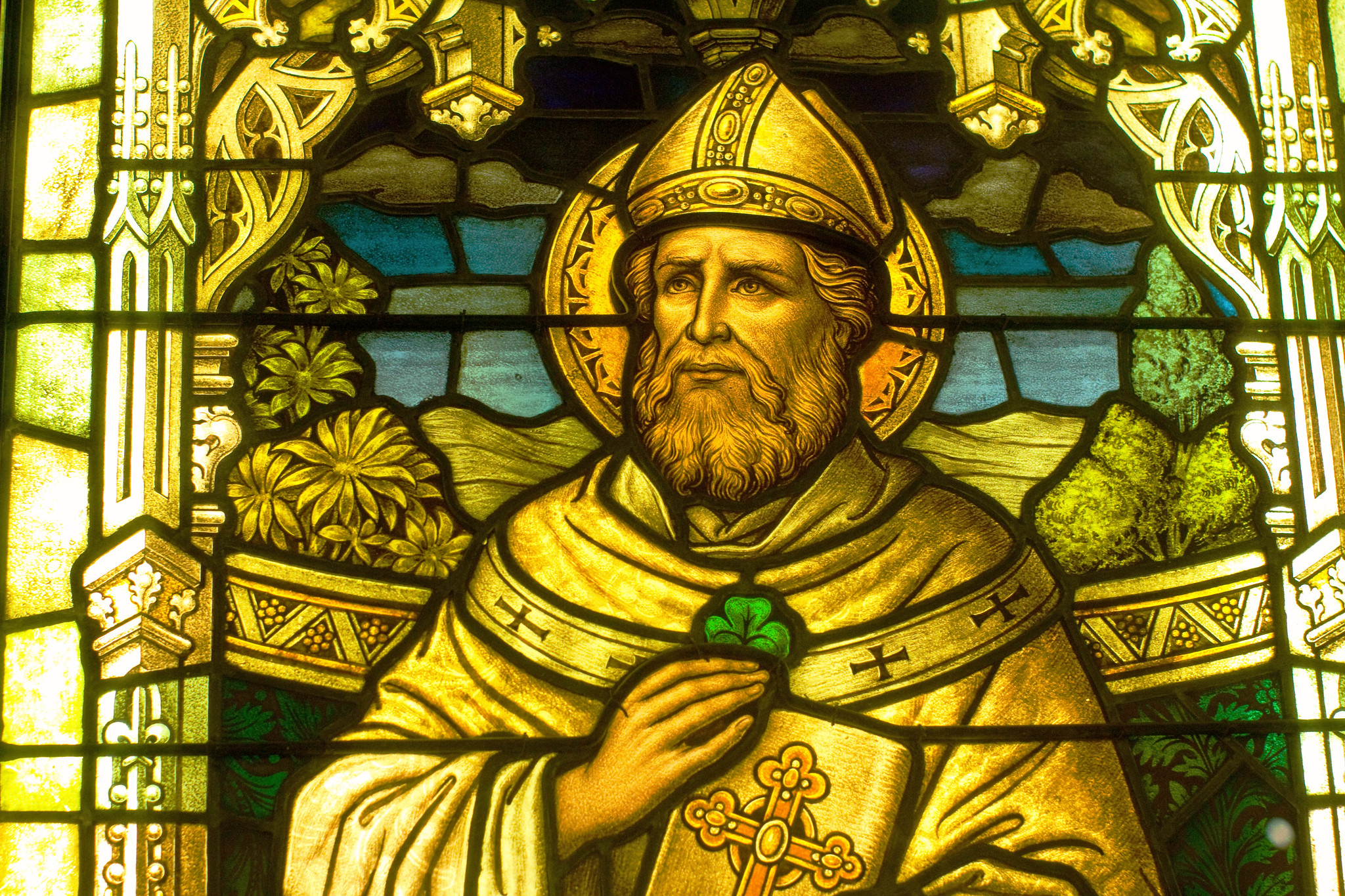 St. Patrick's Day mit dem dreiblättrigen Kleeblatt - Thad Zajdowicz - cc