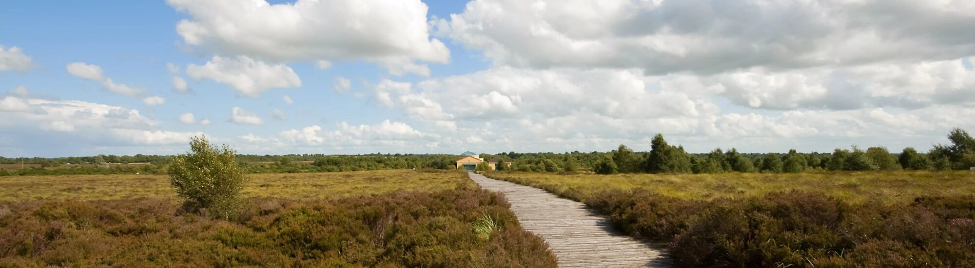 County Longford