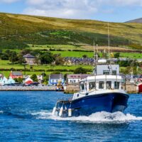 Dingle