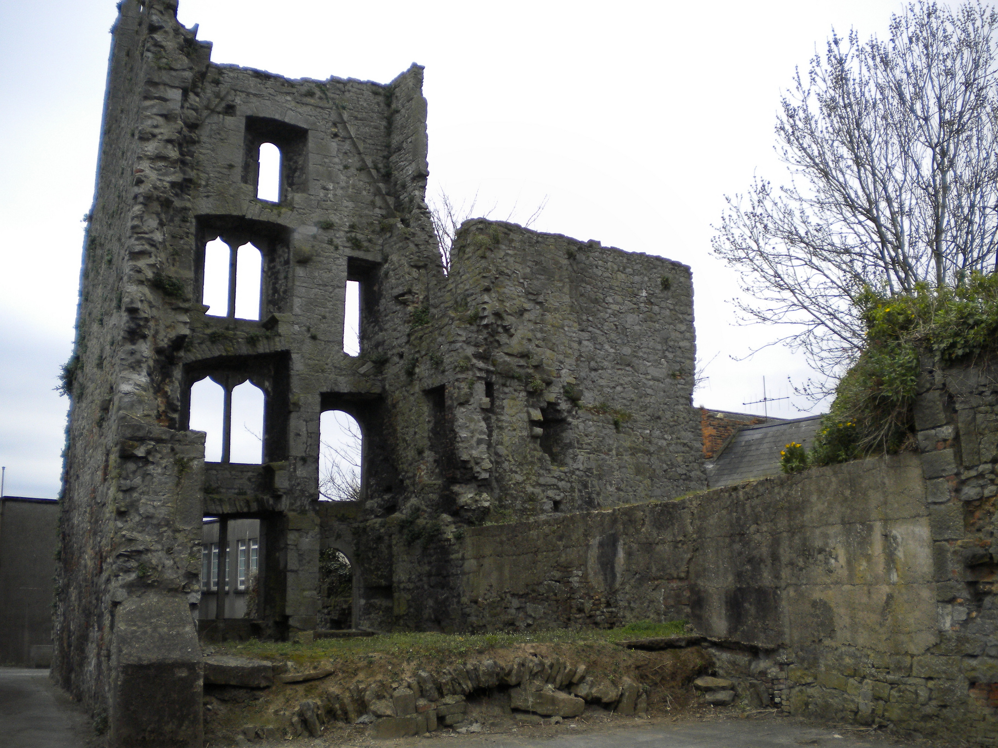 Fanning's Castle - gabig58 - cc