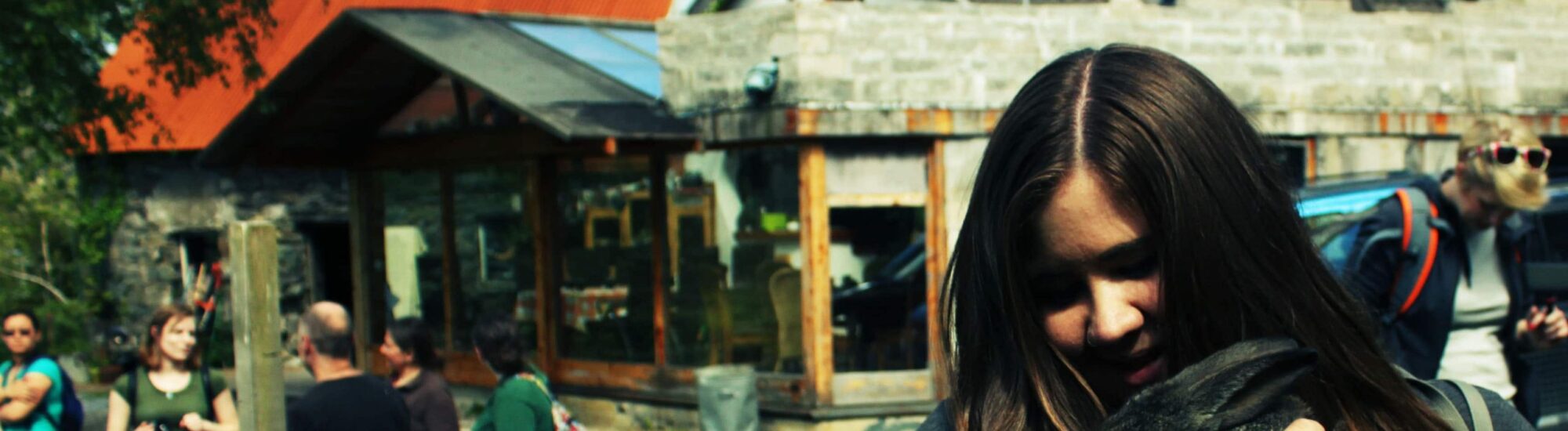 Blueberry Hill Farm