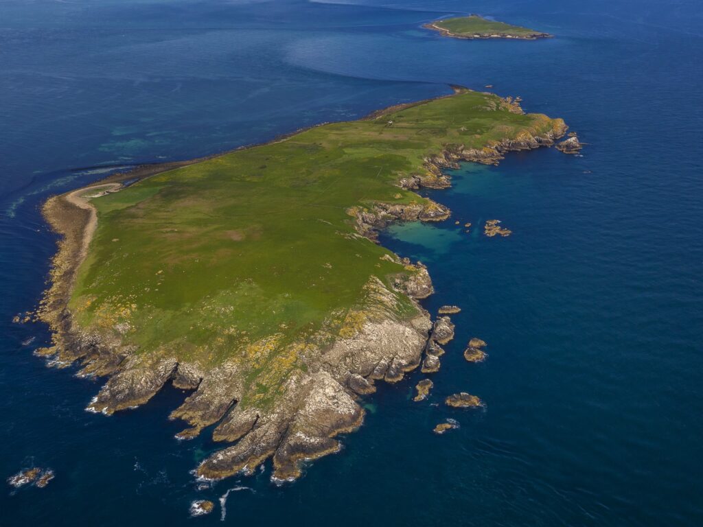 great saltee island