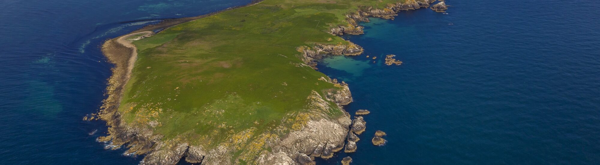 Die Great Saltee Island