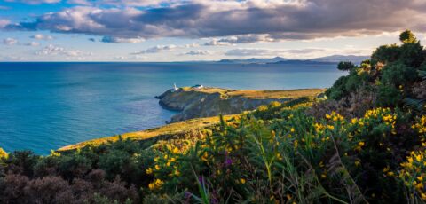 howth head