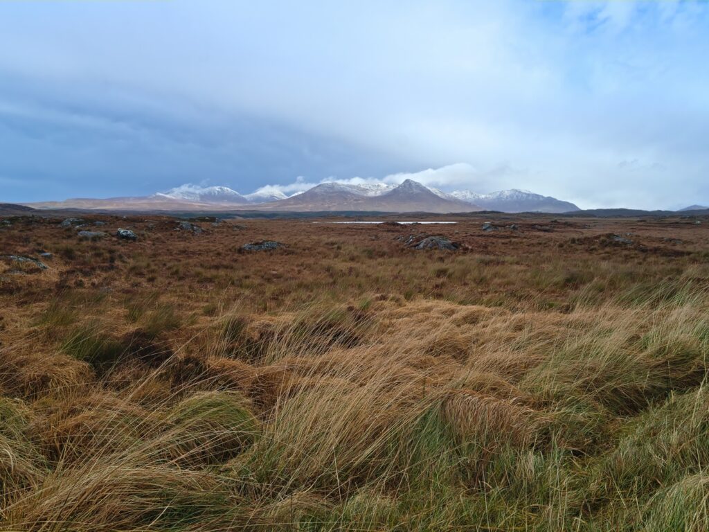 roundstone bog