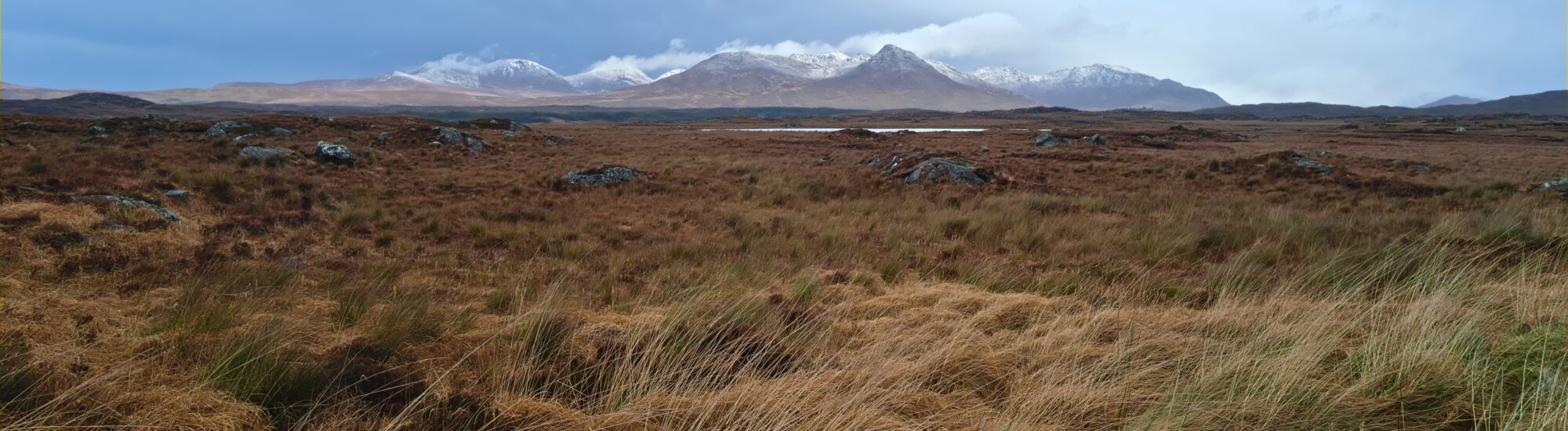 Das Roundstone-Moor