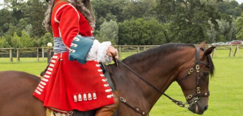 battle of boyne visitor centre