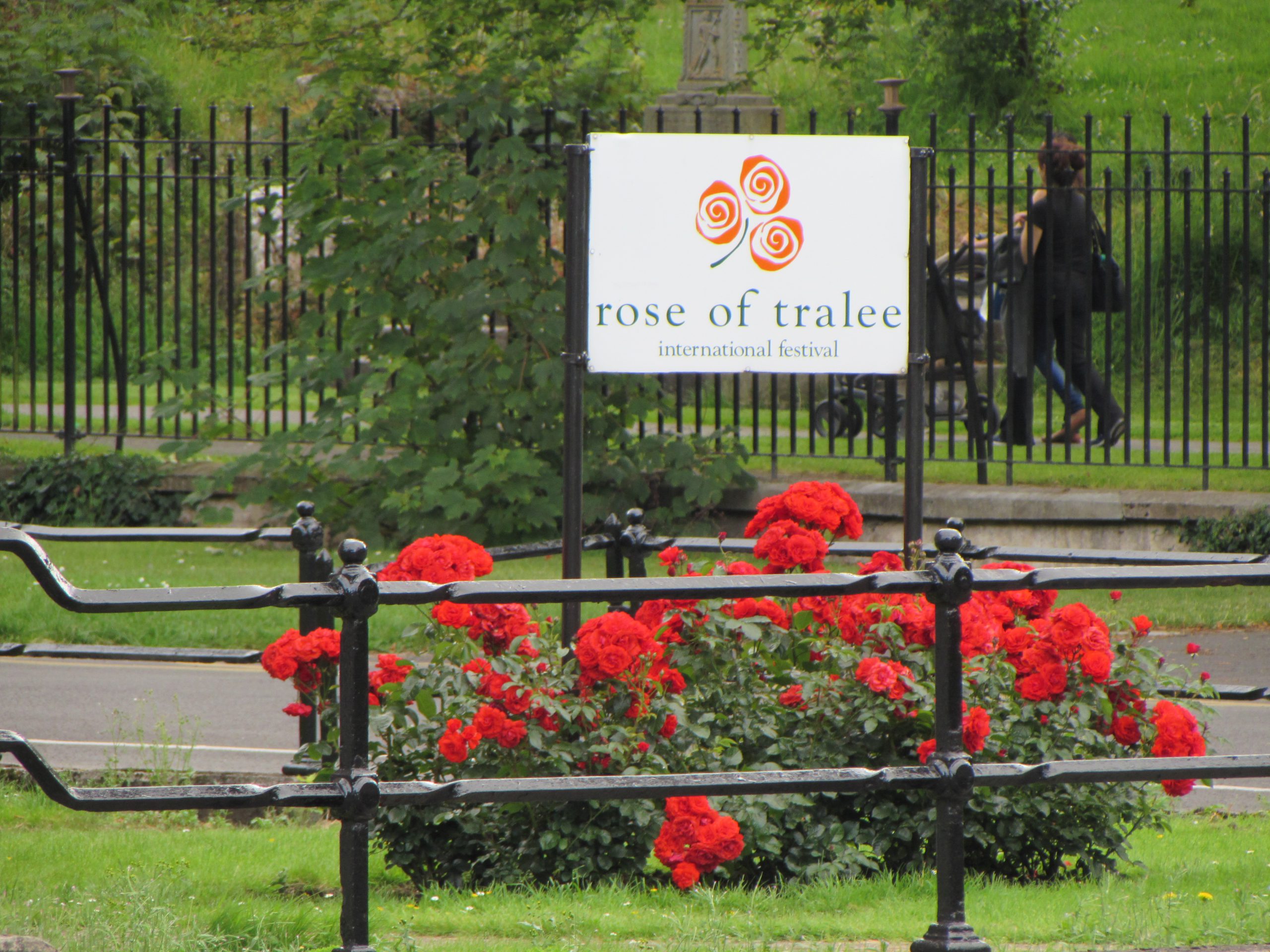 Rose of Tralee