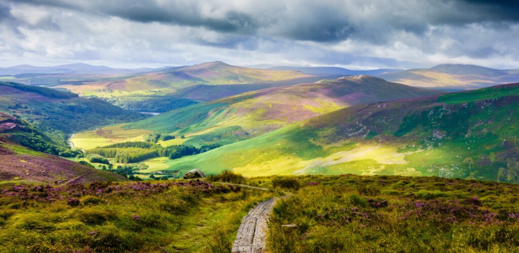 Der Wicklow Way - © Monsieur Olivier
