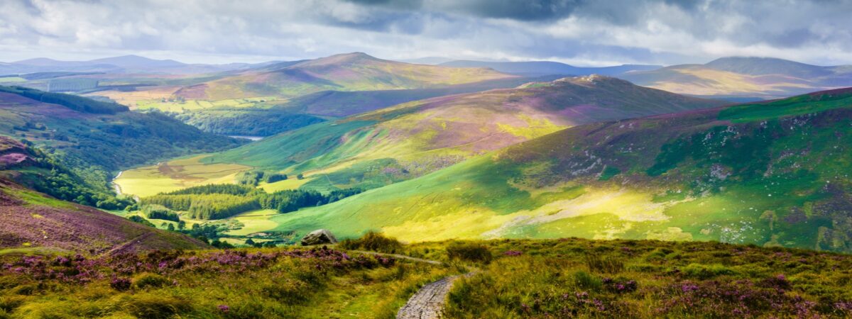 Der Wicklow Way - © Monsieur Olivier