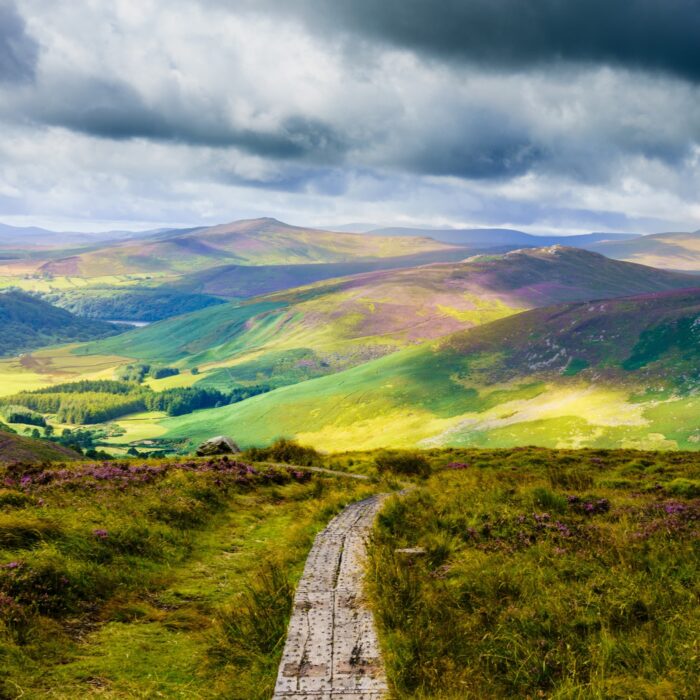 Der Wicklow Way - © Monsieur Olivier