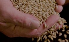 Die Burren Brewery - https://www.burrenexperiences.ie/