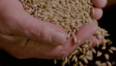 Die Burren Brewery - https://www.burrenexperiences.ie/