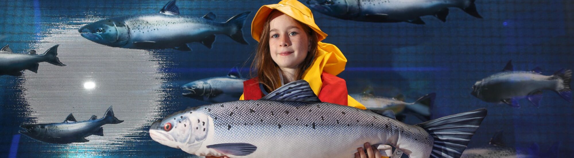 The Salmon Experience