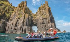 dingle sea safari