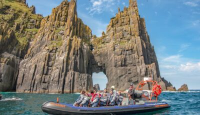 dingle sea safari