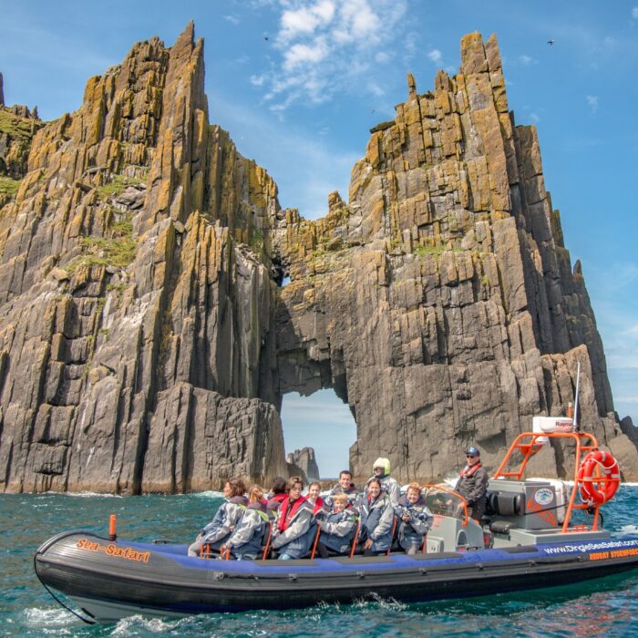 dingle sea safari