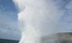 Der McSwyne's Guin - potoole3 - cc