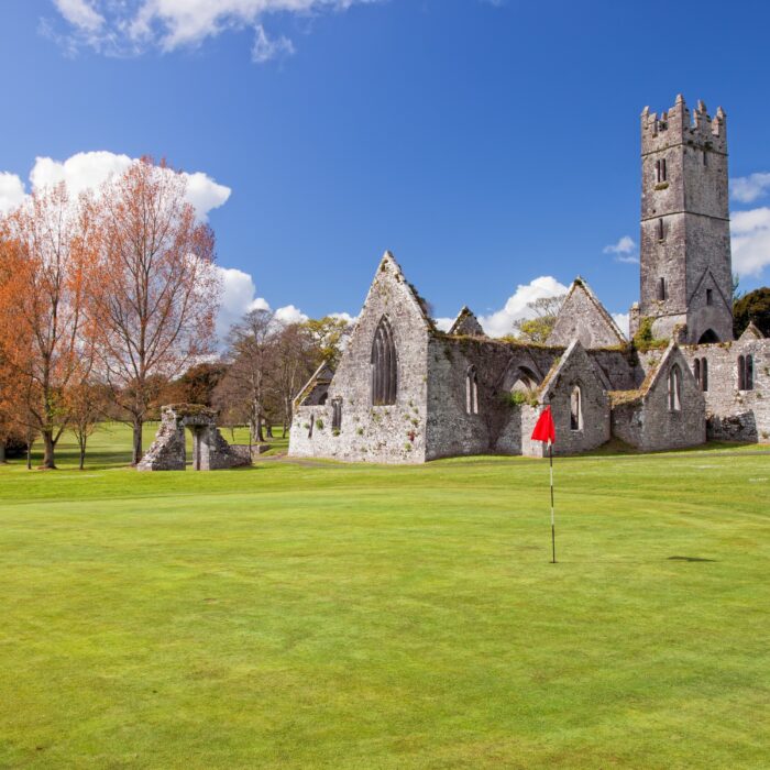 adare franciscan friary