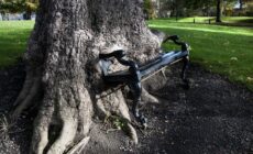Der Hungry tree - © yuplex