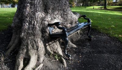 Der Hungry tree - © yuplex