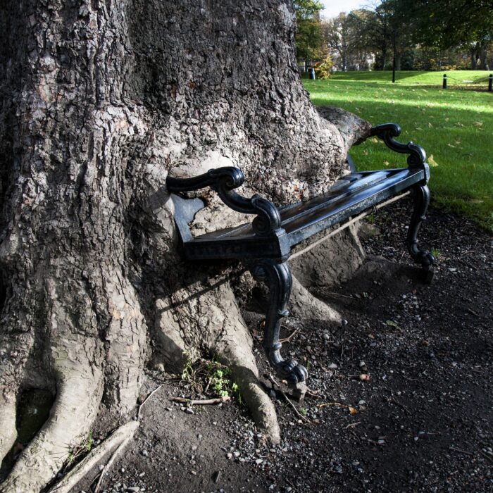 Der Hungry tree - © yuplex