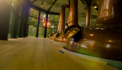 Die Royal Oak Distillery - https://www.thebusker.com