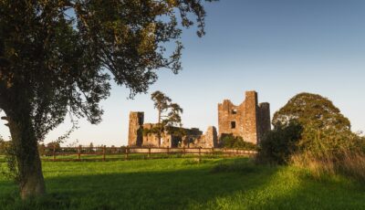 Die Bective Abbey - © Rubende Antonio