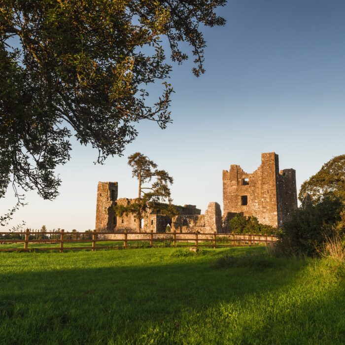 Die Bective Abbey - © Rubende Antonio
