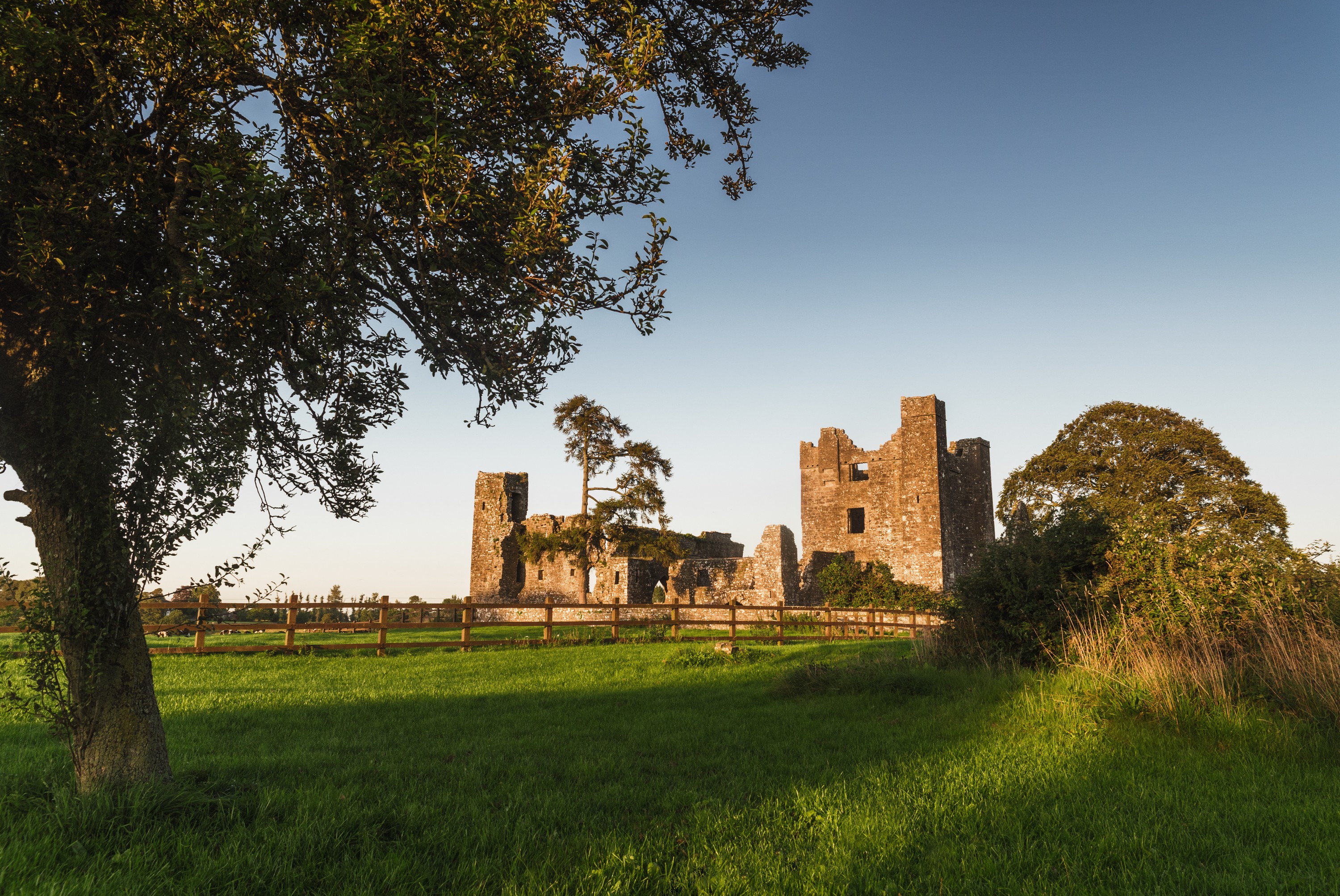 Die Bective Abbey - © Rubende Antonio