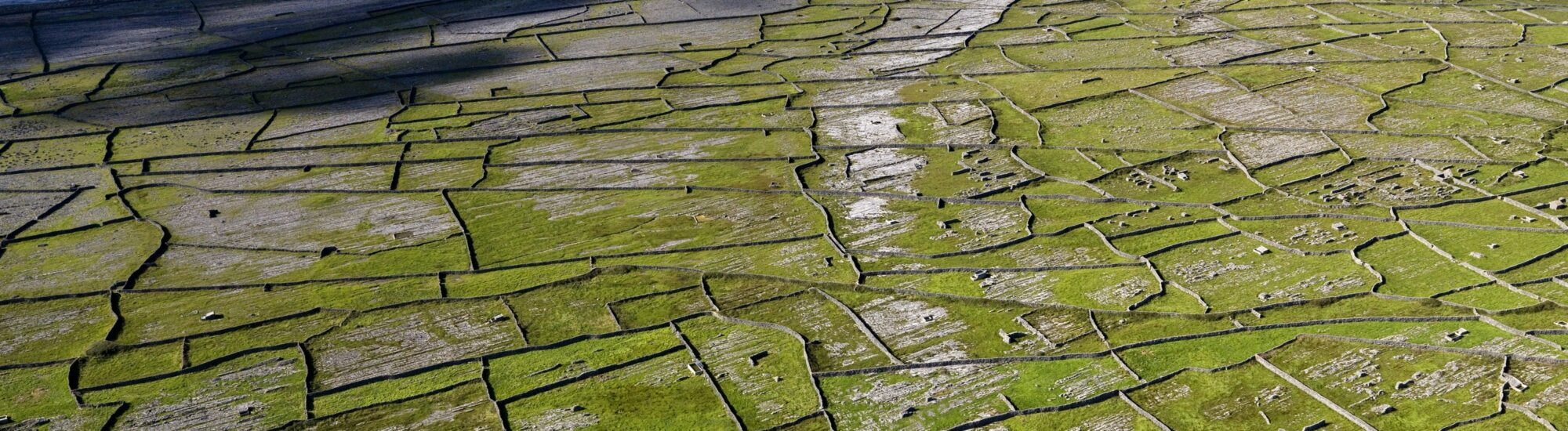 Ökologie in Irland