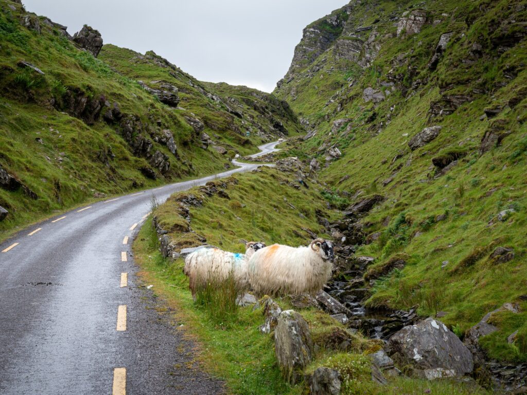 Le Ballaghbeama Gap - © Shawn