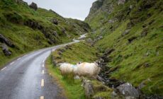 Das Ballaghbeama Gap - © Shawn