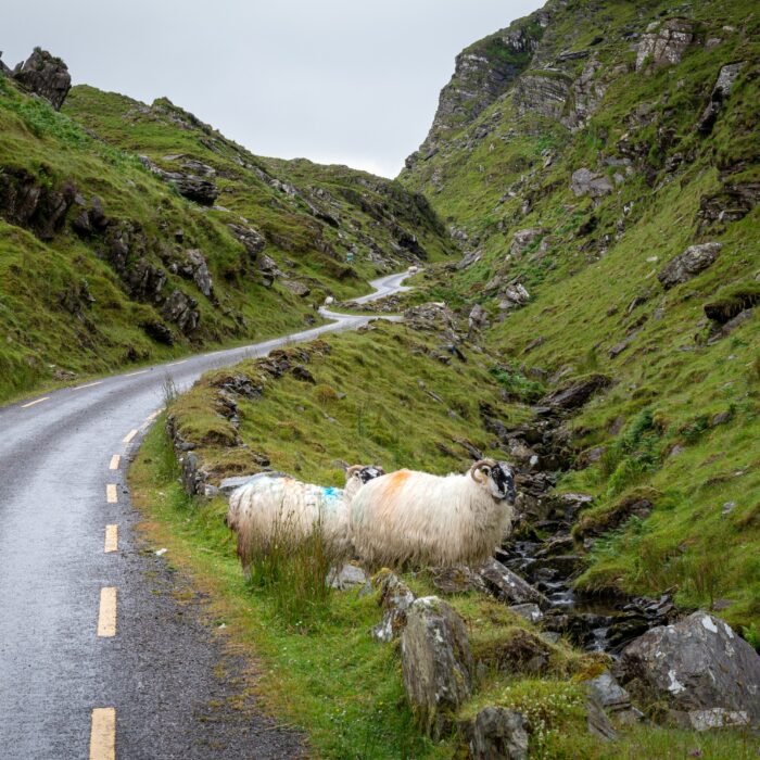 Das Ballaghbeama Gap - © Shawn