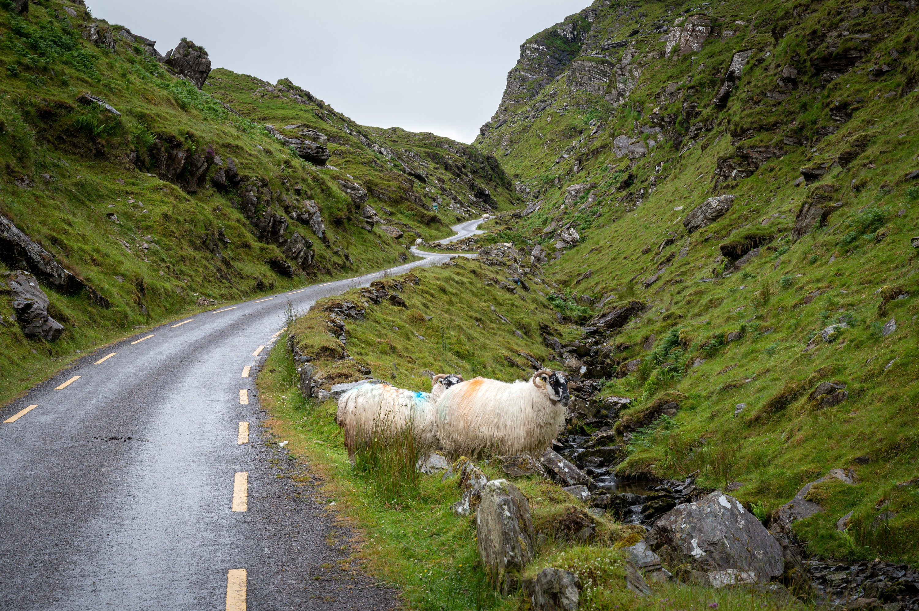 Das Ballaghbeama Gap - © Shawn