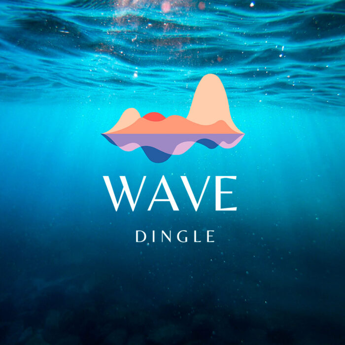 wave dingle